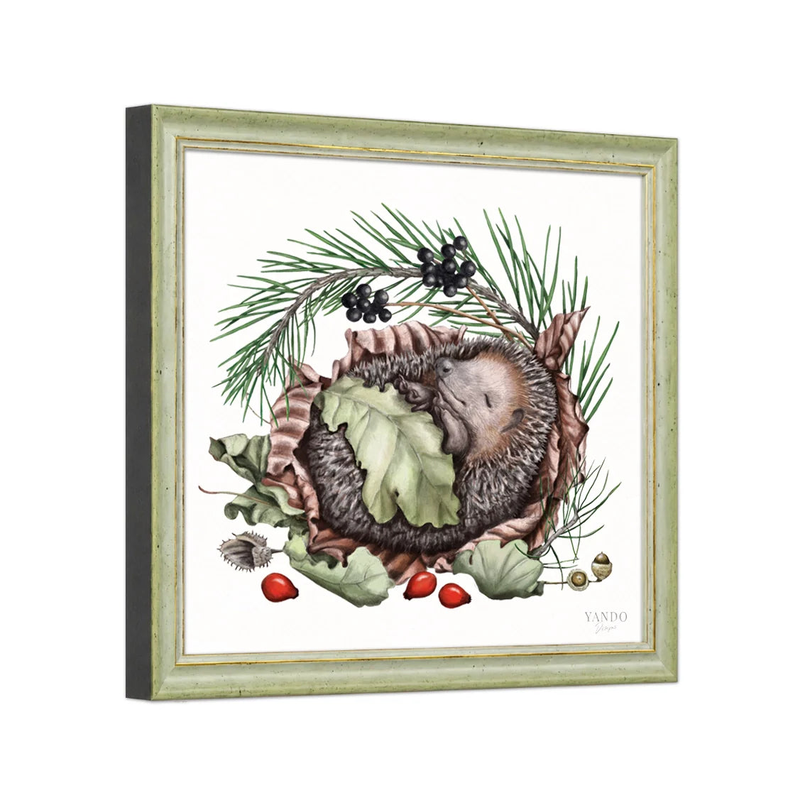 Seitliche Ansicht des Holzrahmens — Schlafender Igel
