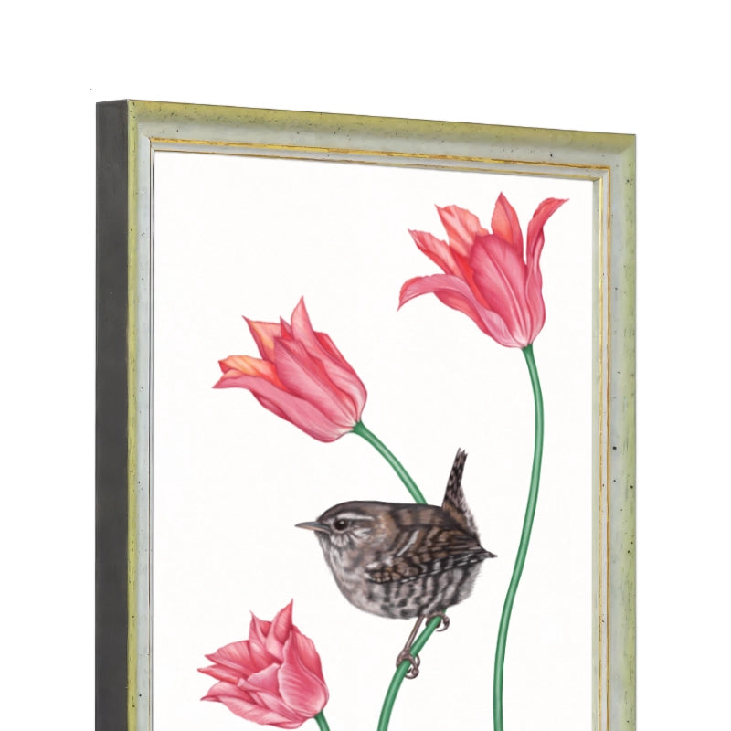 Seitliche Ansicht des Holzrahmens — Zaunkönig und Tulpe