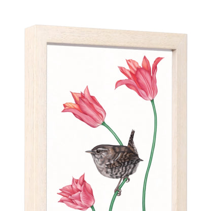 Seitliche Ansicht des Holzrahmens — Zaunkönig und Tulpe
