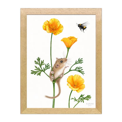 Haselmaus und Goldmohn im dunklen Naturholz-Rahmen — gerahmt und aufhängbereit