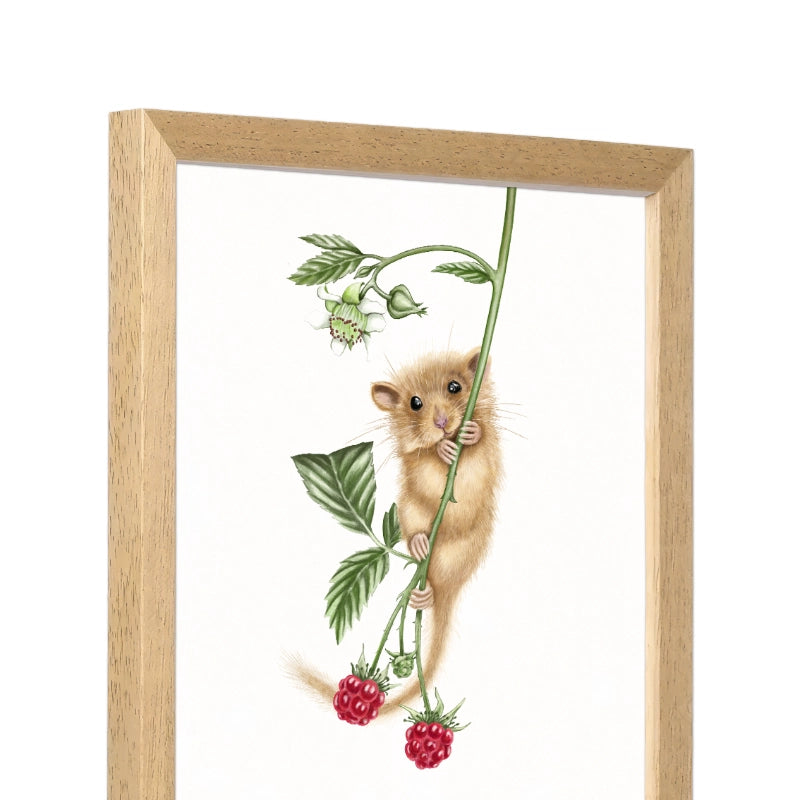 Seitliche Ansicht des Holzrahmens — Haselmaus und Himbeere