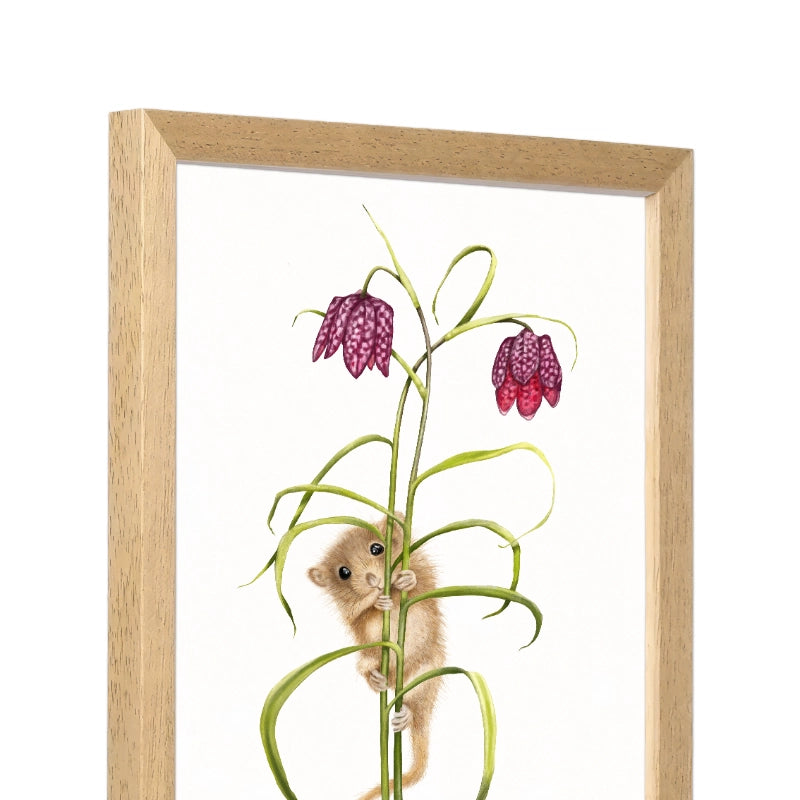 Seitliche Ansicht des Holzrahmens — Haselmaus und Schachbrettblume