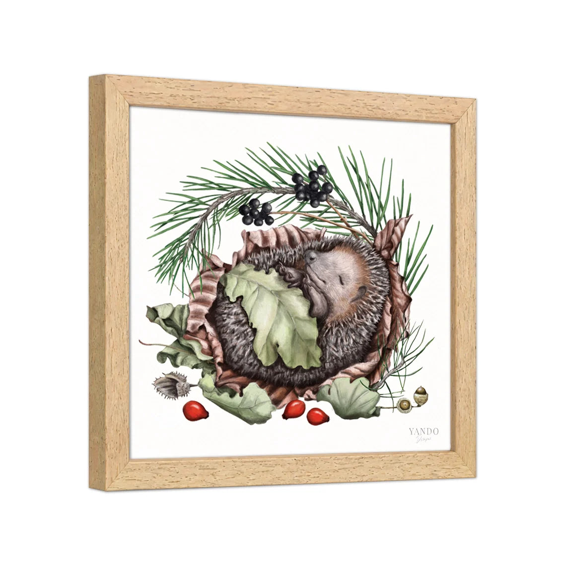 Seitliche Ansicht des Holzrahmens — Schlafender Igel