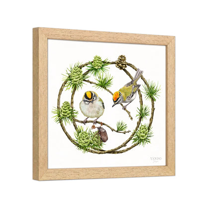 Seitliche Ansicht des Holzrahmens — Sommergoldhähnchen und Lärche