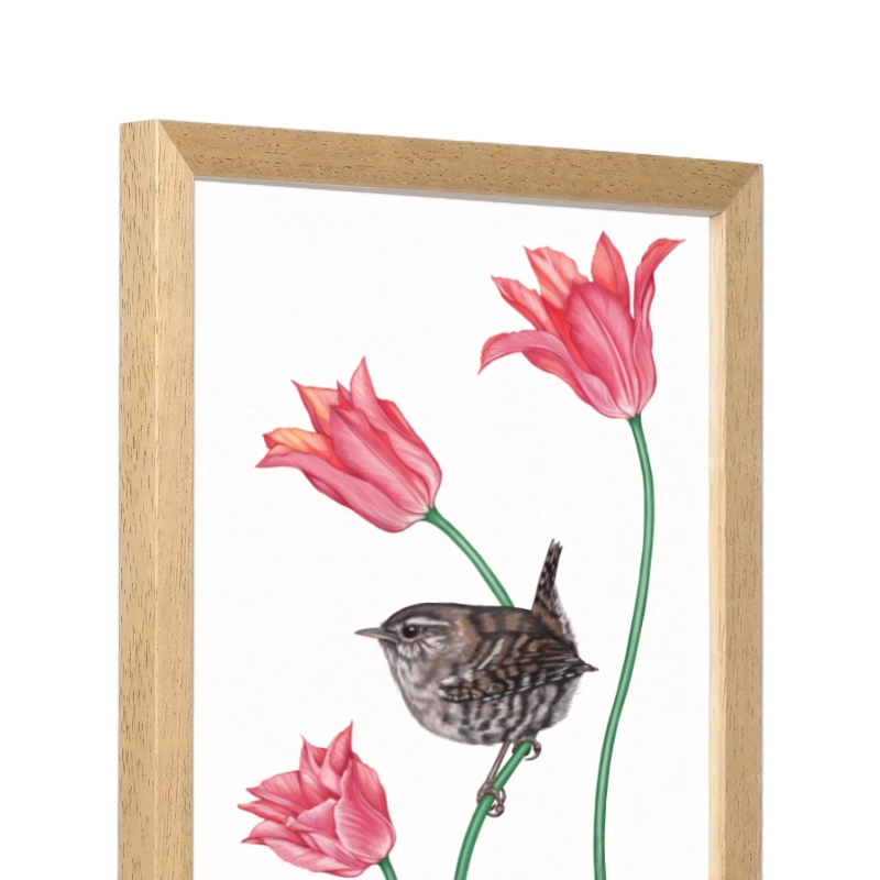 Seitliche Ansicht des Holzrahmens — Zaunkönig und Tulpe