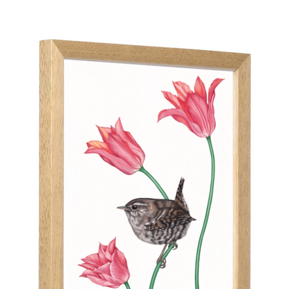 Seitliche Ansicht des Holzrahmens — Zaunkönig und Tulpe