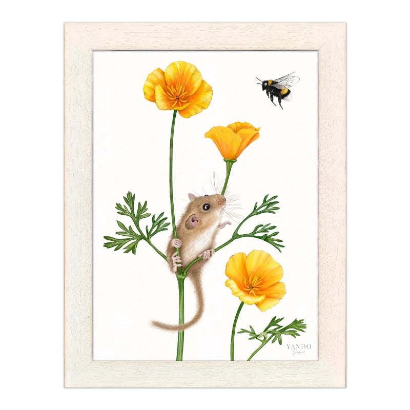Haselmaus und Goldmohn im hellen Naturholz-Rahmen — gerahmt und aufhängbereit
