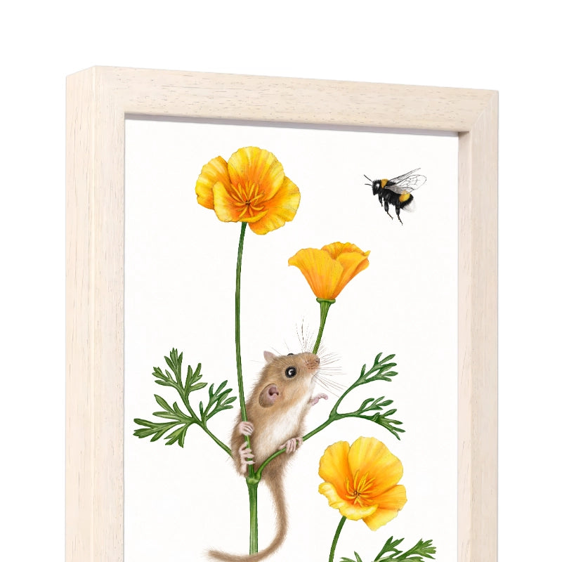 Seitliche Ansicht des Holzrahmens — Haselmaus und Goldmohn