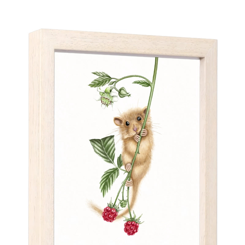 Seitliche Ansicht des Holzrahmens — Haselmaus und Himbeere