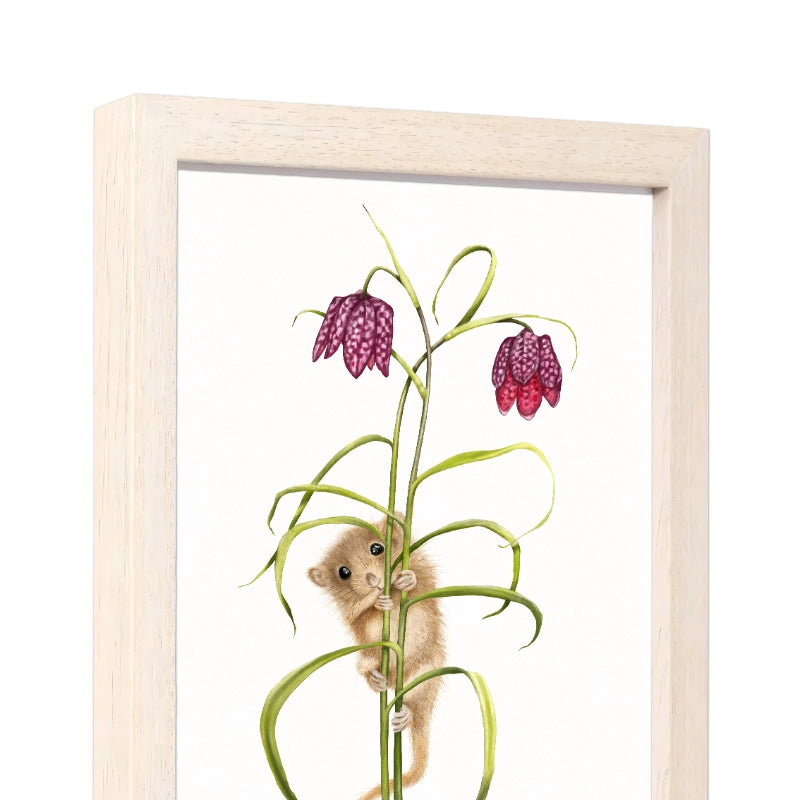 Seitliche Ansicht des Holzrahmens — Haselmaus und Schachbrettblume