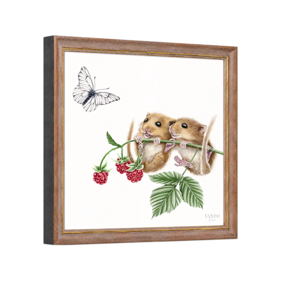 Seitliche Ansicht des Holzrahmens — Haselmäuse und Himbeere