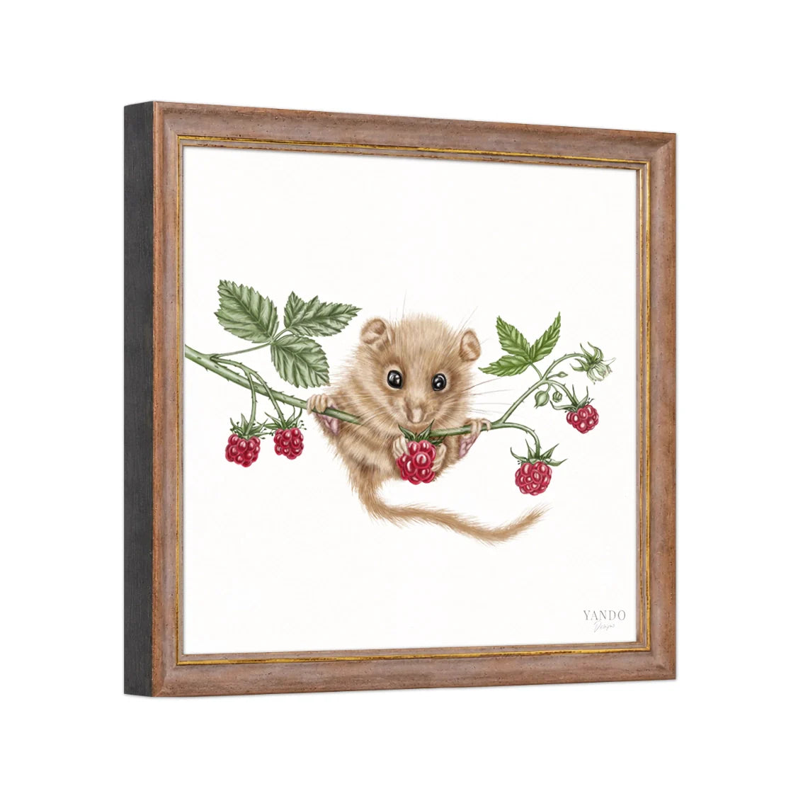 Seitliche Ansicht des Holzrahmens — Haselmaus und Himbeere II