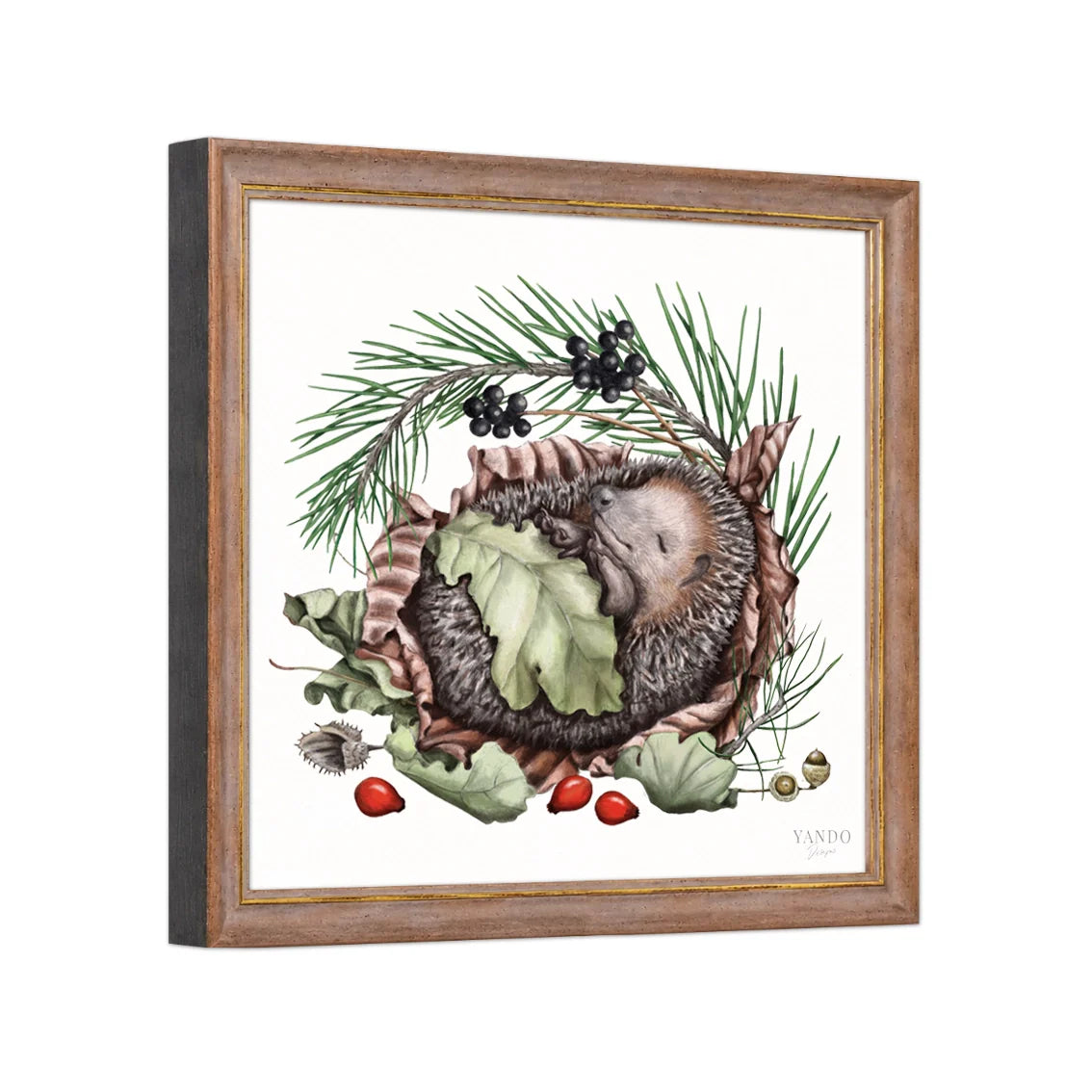 Seitliche Ansicht des Holzrahmens — Schlafender Igel
