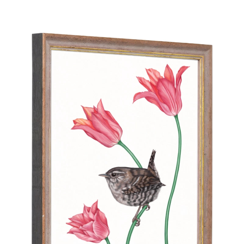 Seitliche Ansicht des Holzrahmens — Zaunkönig und Tulpe