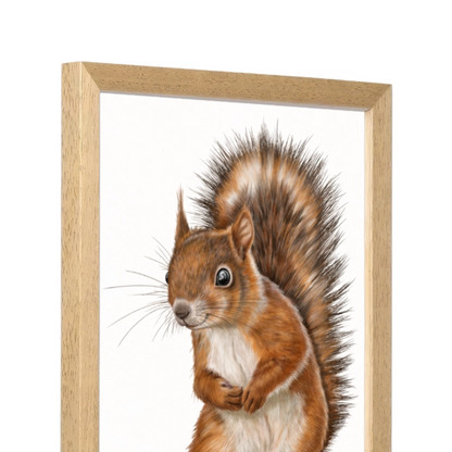 Seitliche Ansicht des Holzrahmens — Eichhörnchen