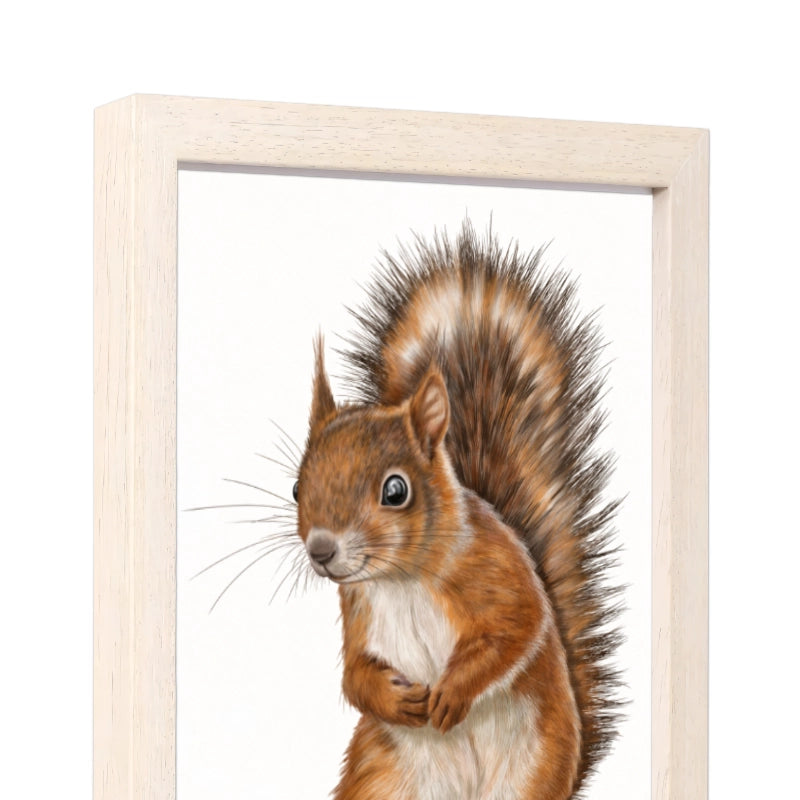 Seitliche Ansicht des Holzrahmens — Eichhörnchen