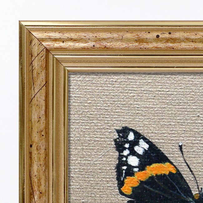 Handgemaltes Original – Admiral Schmetterling