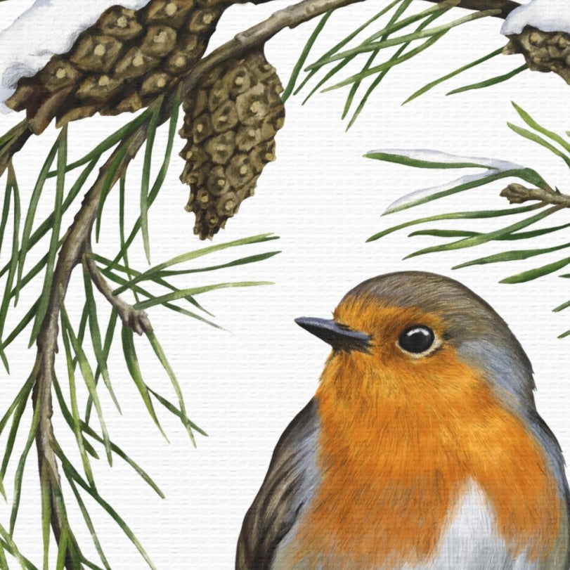Detail-Aufnahme: Rotkehlchen und Kiefer, Leinwanddruck