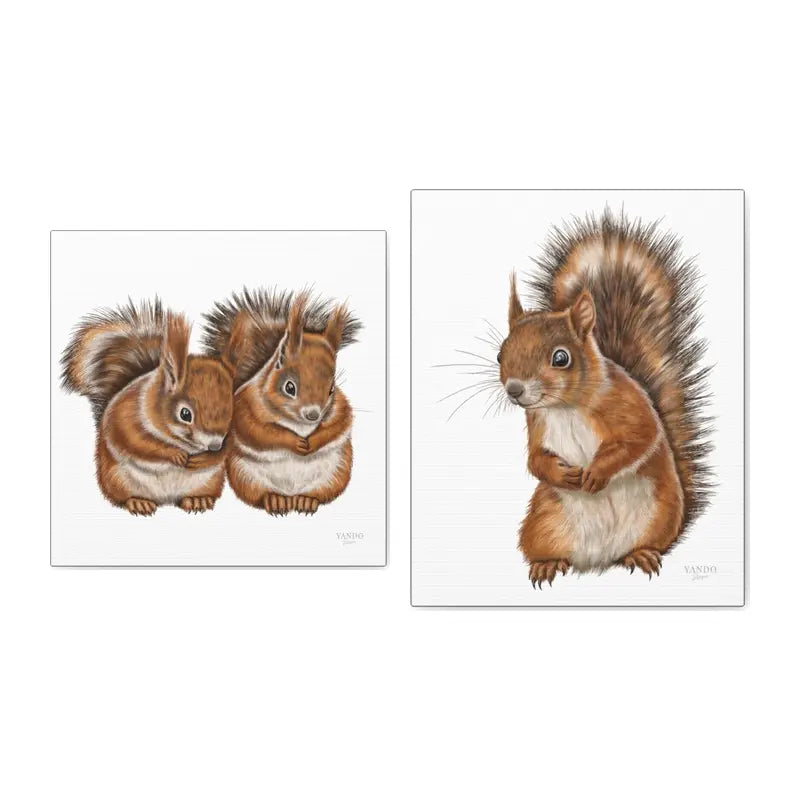 Eichhörnchen - Leinwand-Sammlung