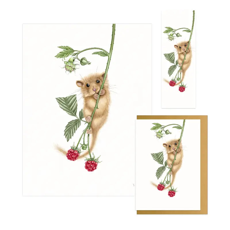 Haselmaus und Himbeere Geschenk-Sammlung – Flat Lay