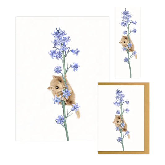 Haselmaus und Hasenglöckchen - Geschenk-Sammlung