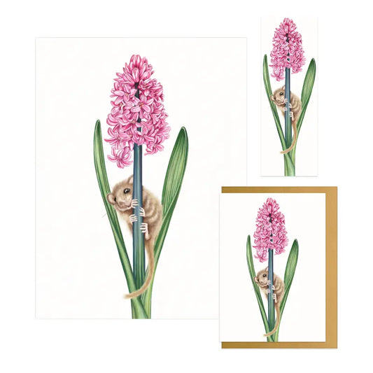 Haselmaus und Hyazinthe - Geschenk-Sammlung