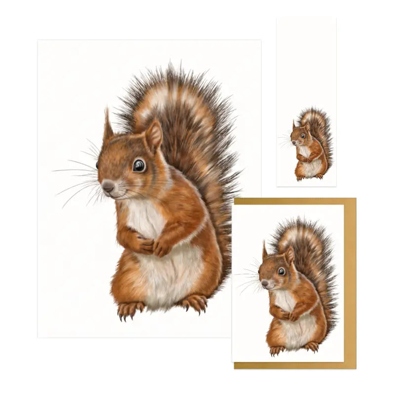 Eichhörnchen Geschenkset – Kunstdruck, Grußkarte und Lesezeichen, handgezeichnet