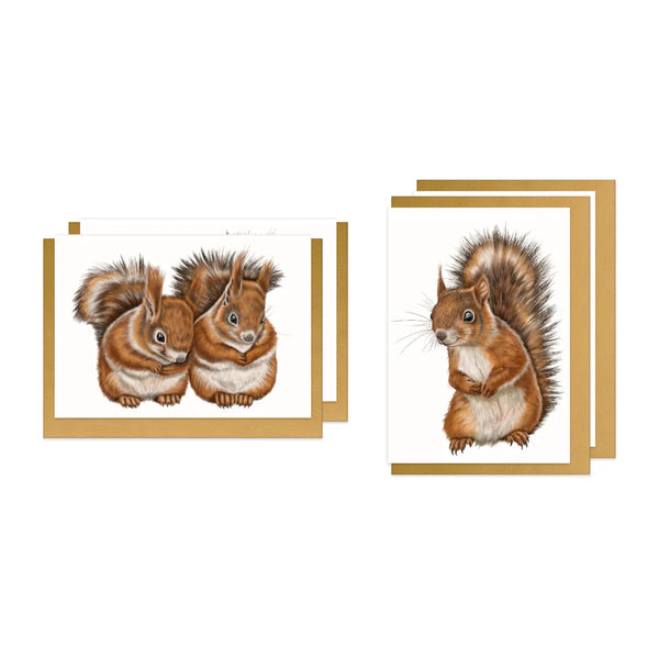Eichhörnchen Doppel-Grußkarten-Sammlung – vier Klappkarten mit goldenen Umschlägen