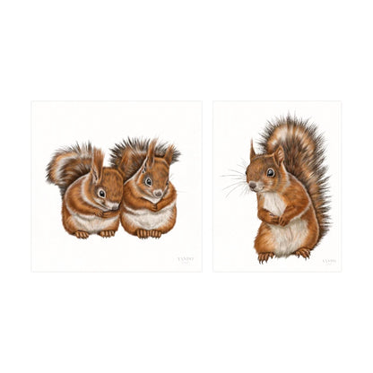 Eichhörnchen Kunstdruck-Sammlung – zwei Fine-Art-Drucke auf Hahnemühle-Papier