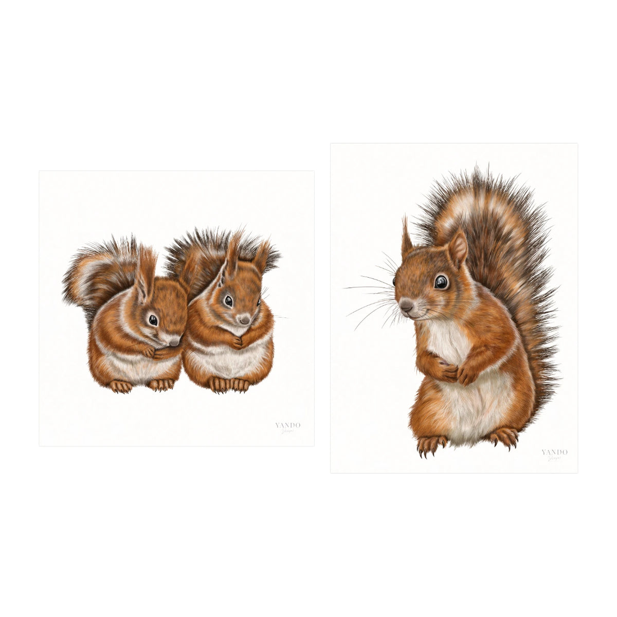 Eichhörnchen - Kunstdruck-Sammlung