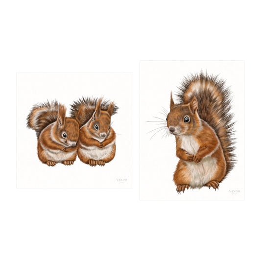 Eichhörnchen - Kunstdruck-Sammlung