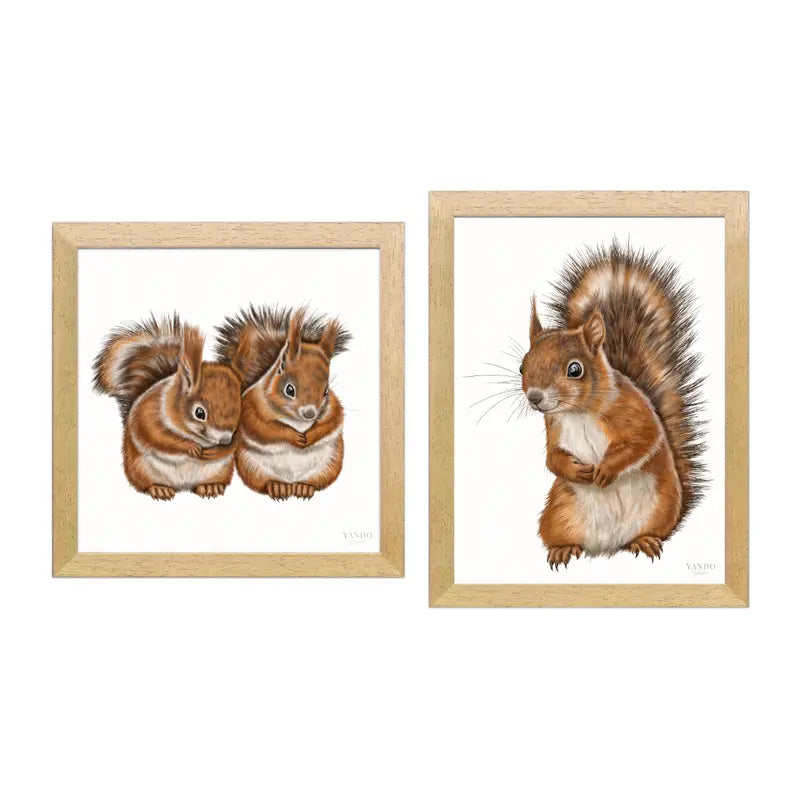 Eichhörnchen – Wandbild-Sammlung mit Holzrahmen in Naturholz Dunkel, zwei Motive