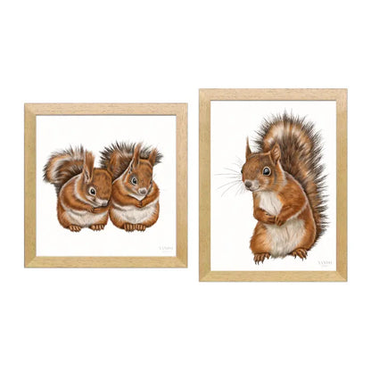 Eichhörnchen – Wandbild-Sammlung mit Holzrahmen in Naturholz Dunkel, zwei Motive