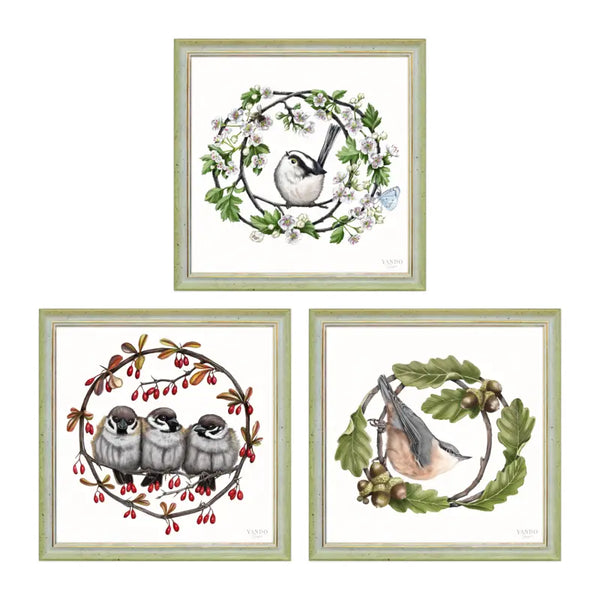 Garten- und Frühlingsvögel - 3-teiliges Wandbild-Set