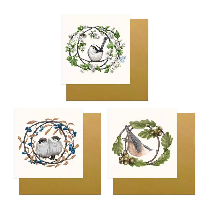 Grußkarten-Set Garten- und Frühlingsvögel