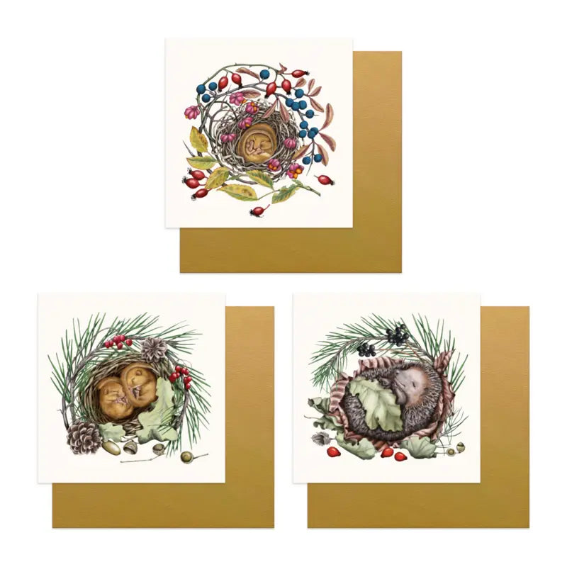 Grußkarten-Set Schlafende Tiere