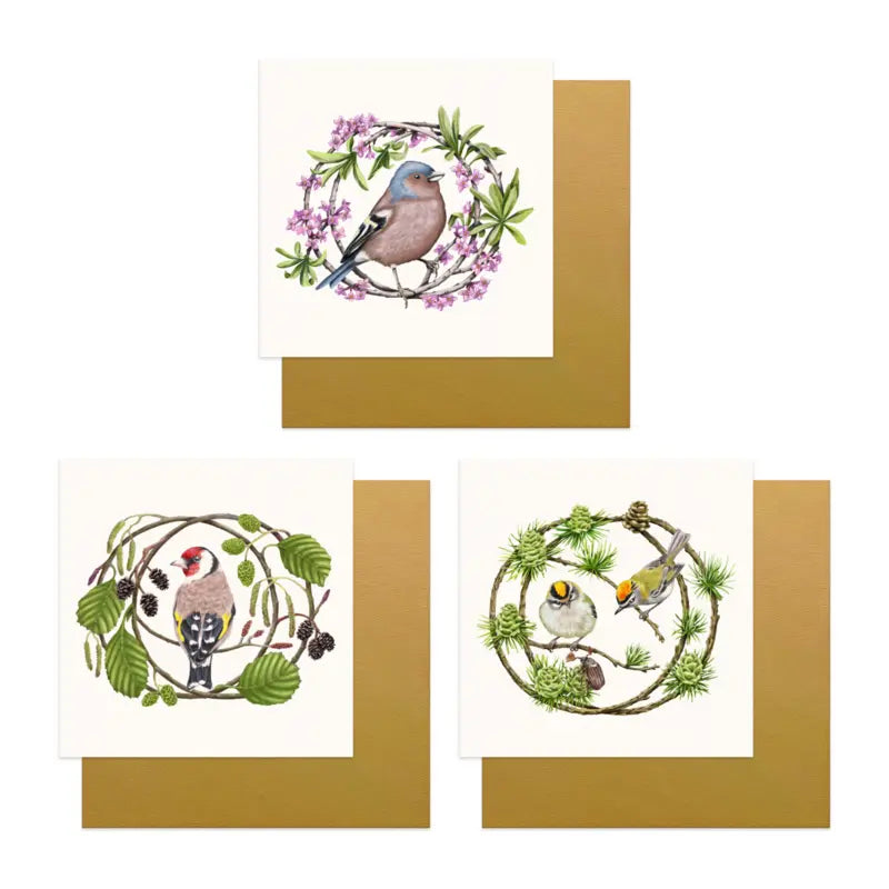 Grußkarten-Set Singvögel