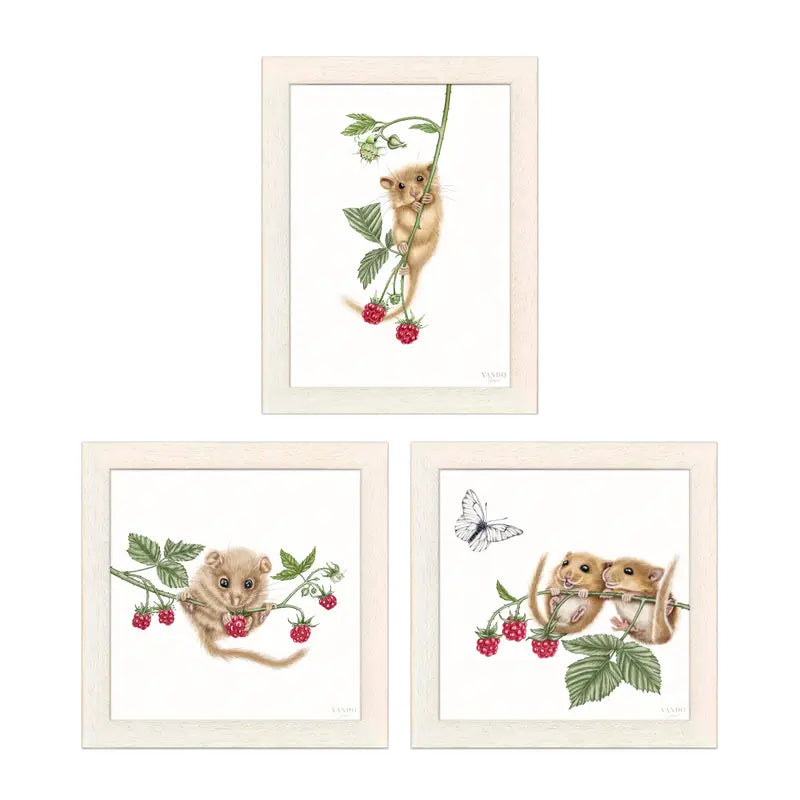 Haselmäuse und Himbeeren – Wandbild-Sammlung mit Holzrahmen in Naturholz Hell, drei Motive