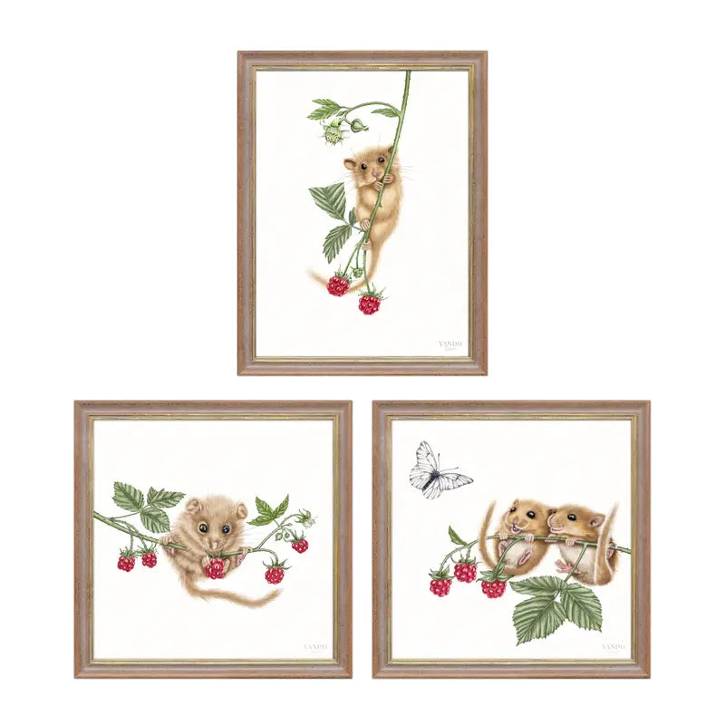 Haselmäuse und Himbeeren – Wandbild-Sammlung mit Holzrahmen in Nussbraun-Gold, drei Motive
