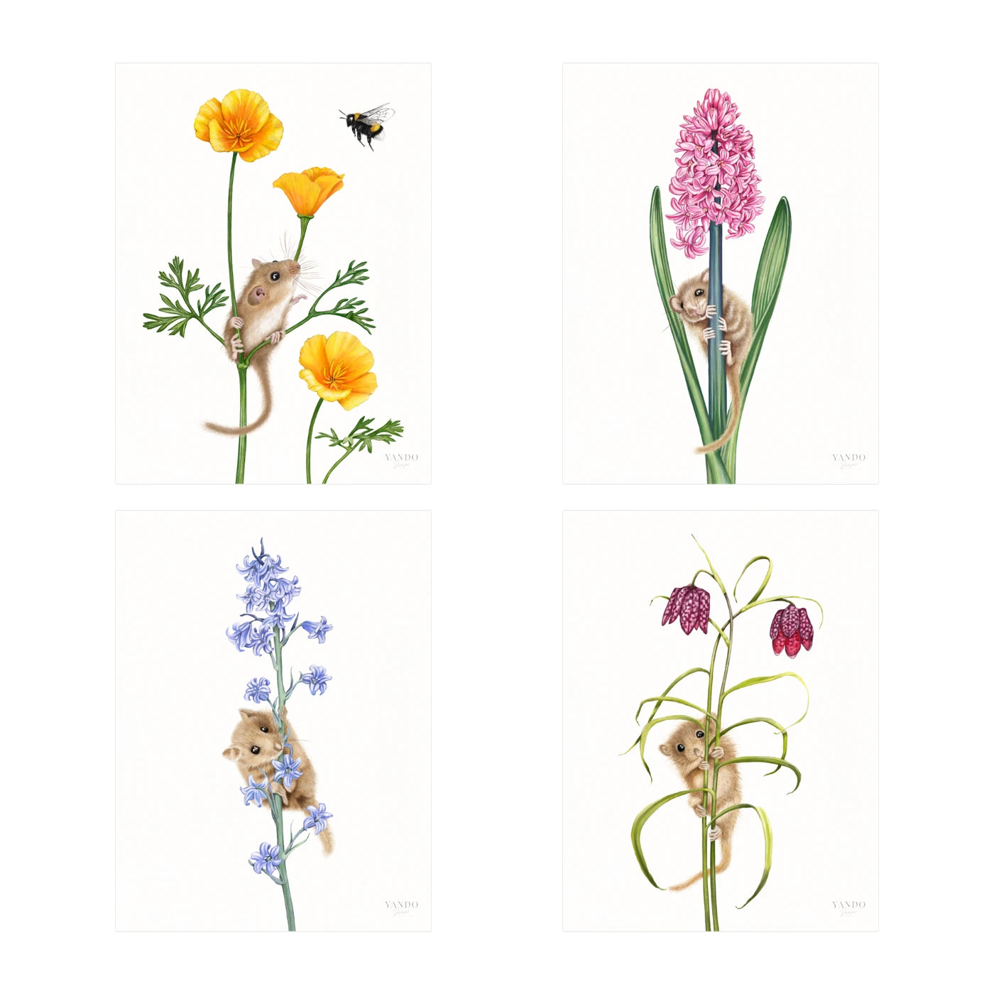 Haselmäuse und Blumen - Kunstdruck-Sammlung