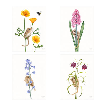 Haselmäuse und Blumen - Kunstdruck-Sammlung