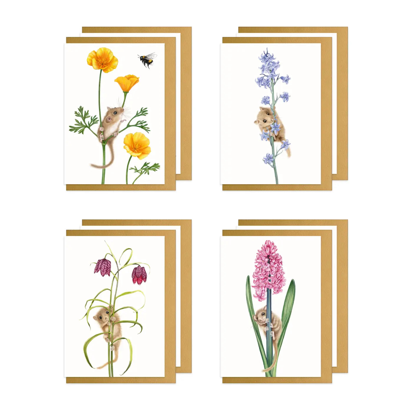Haselmäuse und Blumen Doppel-Grußkarten-Sammlung – acht Klappkarten mit goldenen Umschlägen
