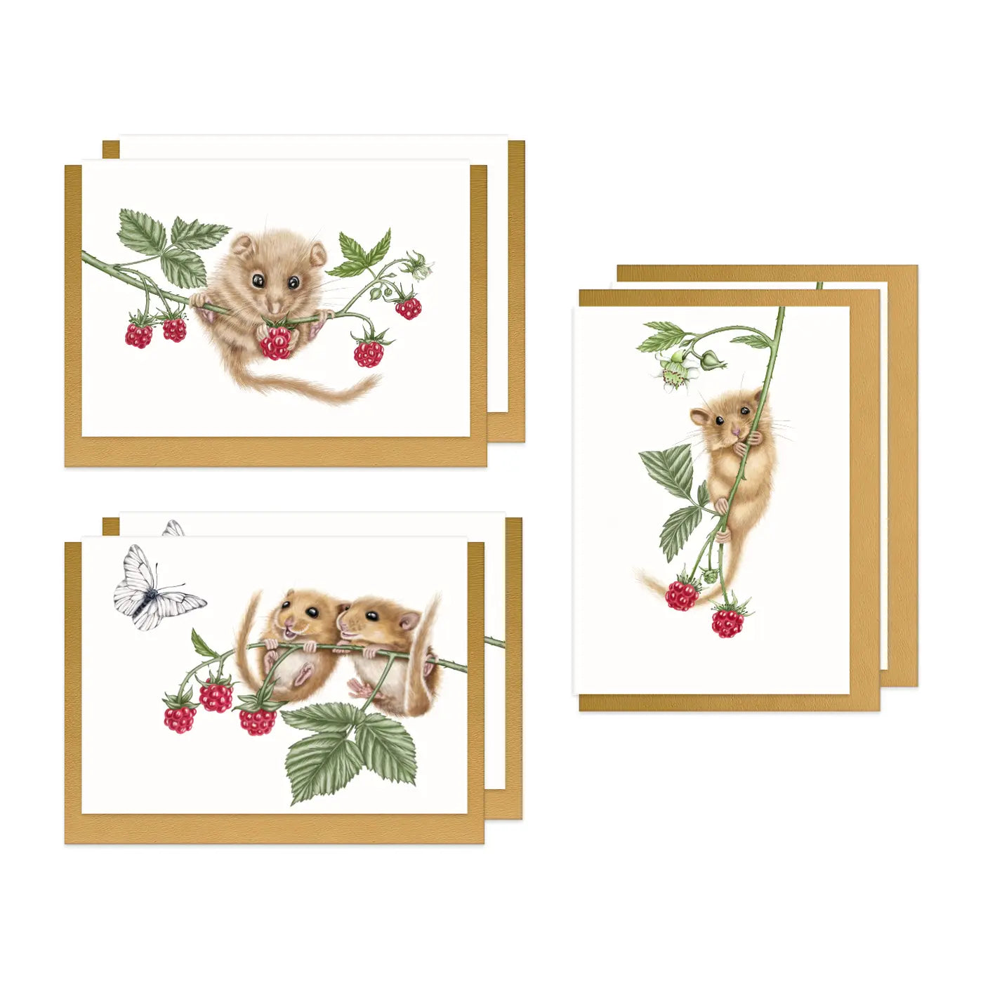 Haselmäuse und Himbeeren Doppel-Grußkarten-Sammlung – sechs Klappkarten mit goldenen Umschlägen