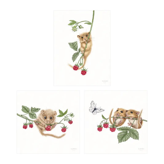 Haselmäuse und Himbeeren – Kunstdruck-Sammlung