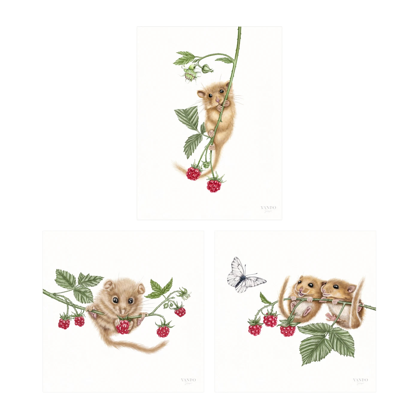 Haselmäuse und Himbeeren - Kunstdruck-Sammlung