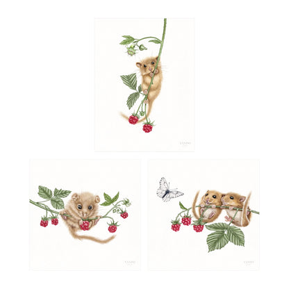 Haselmäuse und Himbeeren - Kunstdruck-Sammlung