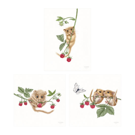 Haselmäuse und Himbeeren - Kunstdruck-Sammlung