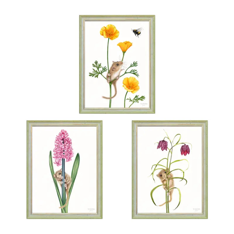 Haselmaus im Blütenmeer - 3-teiliges Wandbild-Set