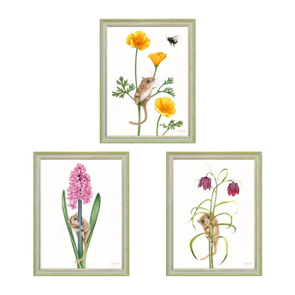 Haselmaus im Blütenmeer - 3-teiliges Wandbild-Set