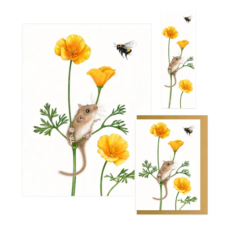 Goldmohn - Geschenkset
